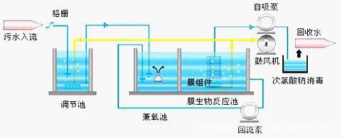 国产啪精品视频网站麻豆免费观看设备