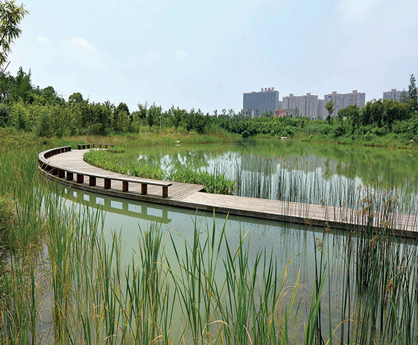 海绵城市建设