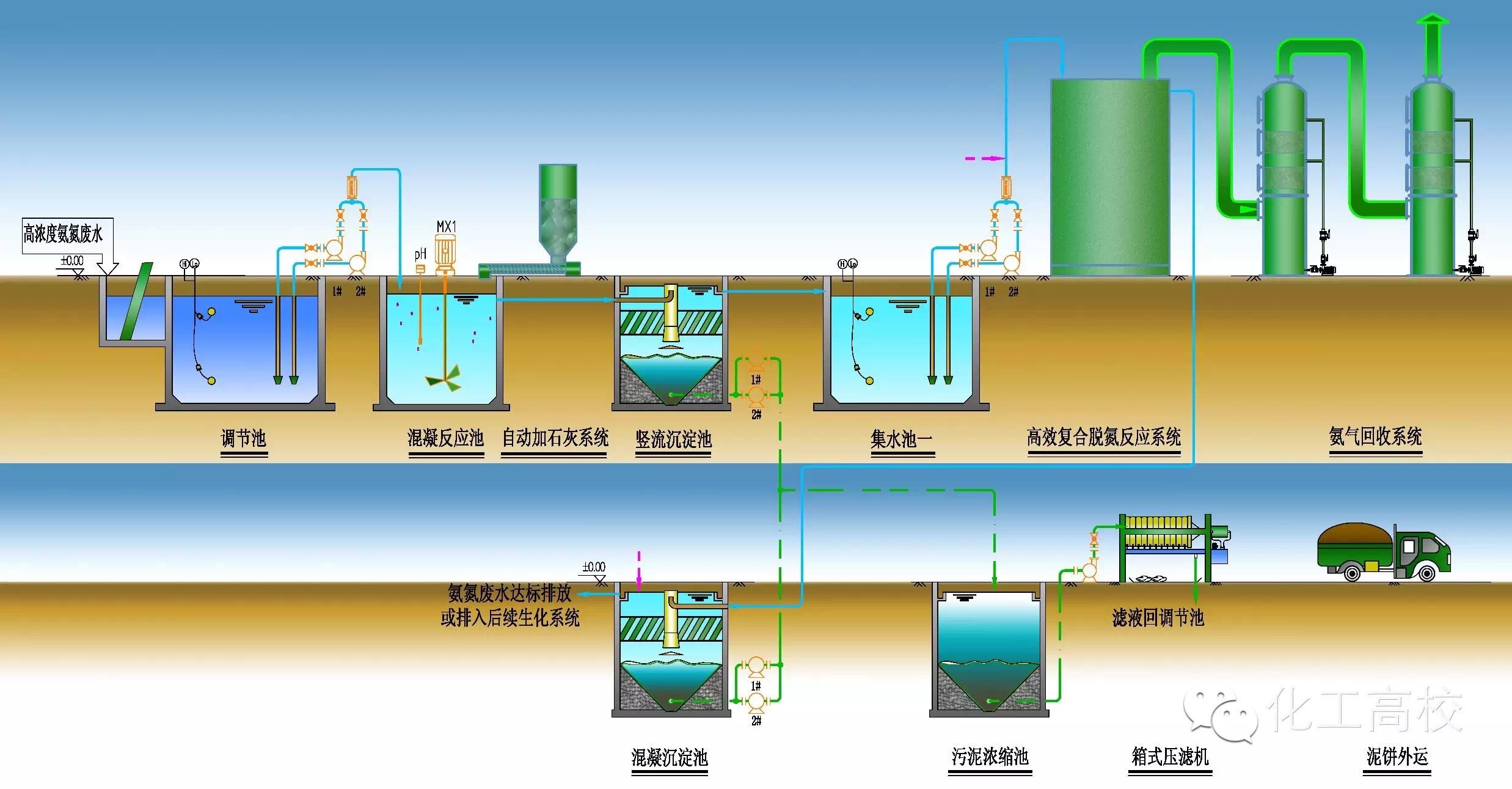 国产啪精品视频网站麻豆免费观看